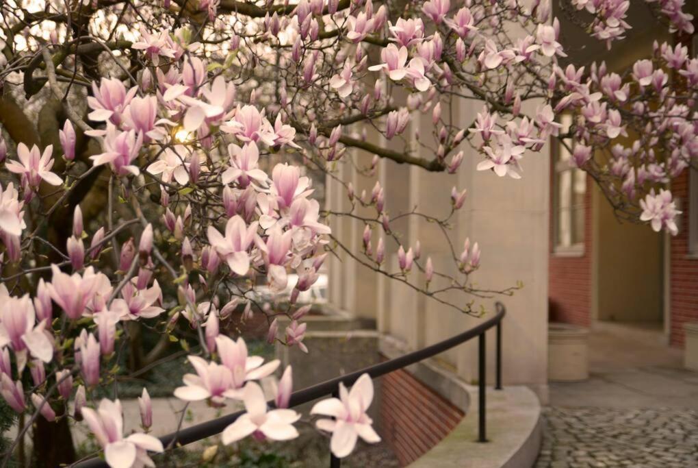 Elegant Apartment In The City Center 브로츠와프 외부 사진
